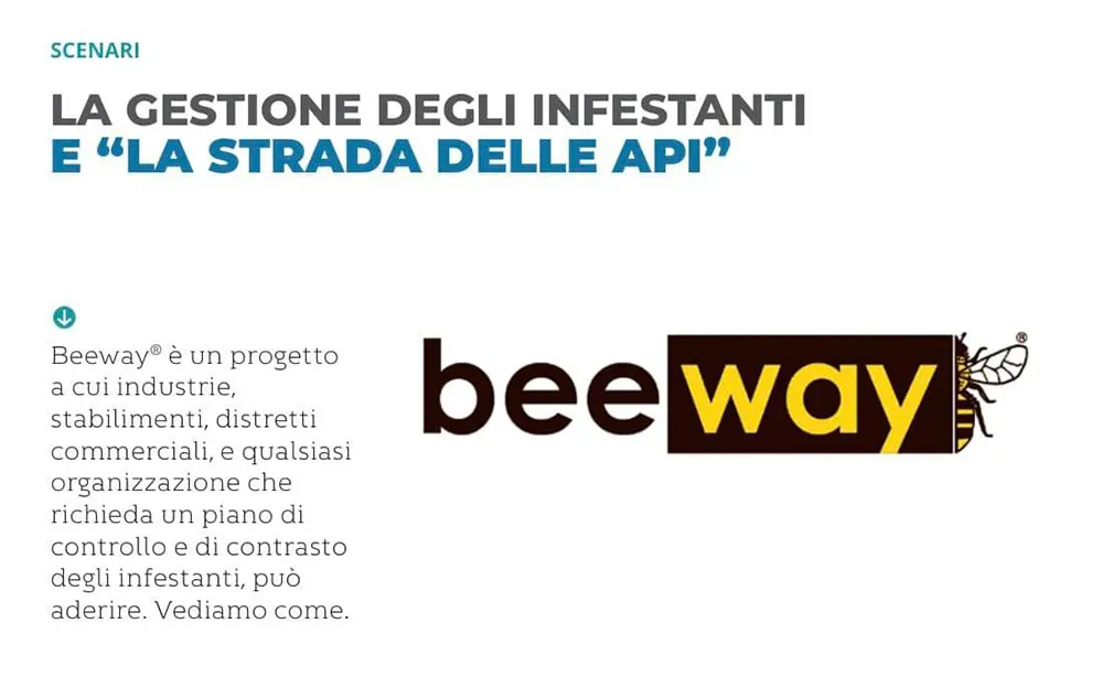 progetto-beeway